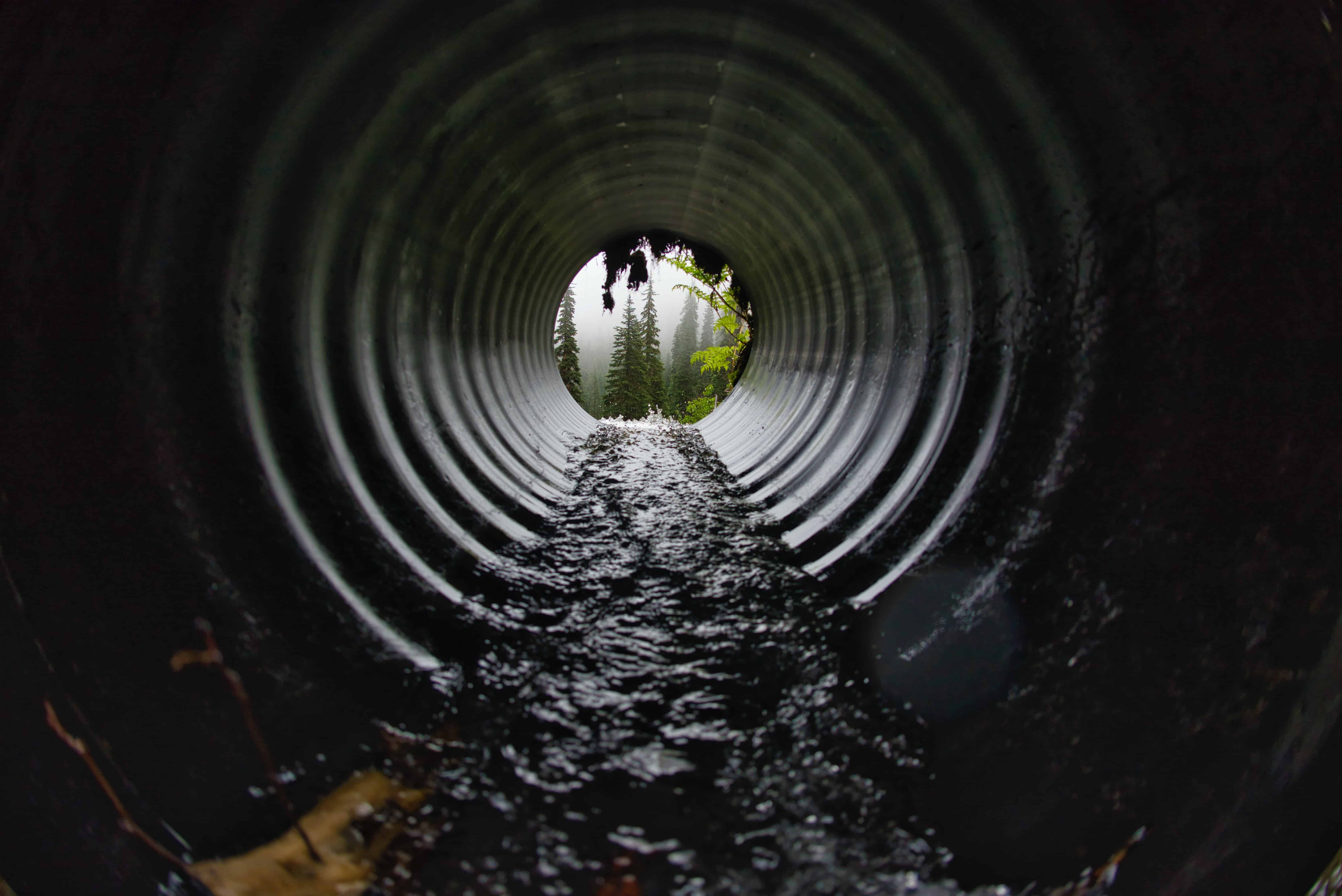inside of a sewer pipe near Albertson, NY