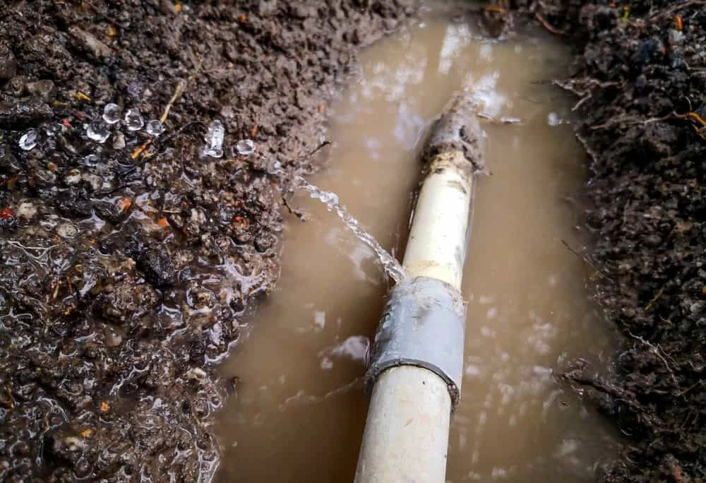 Wastewater leaking from a burst PVC pipe, indicating a plumbing failure or drainage system damage